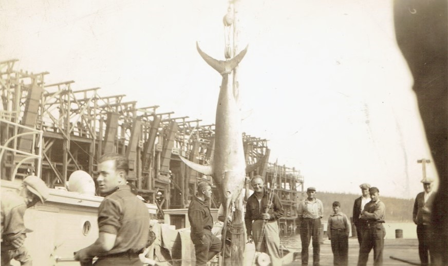 New England Swordfishing