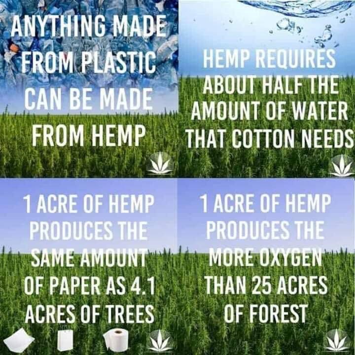 Is Hemp the Answer To Some Environmental Problems?
