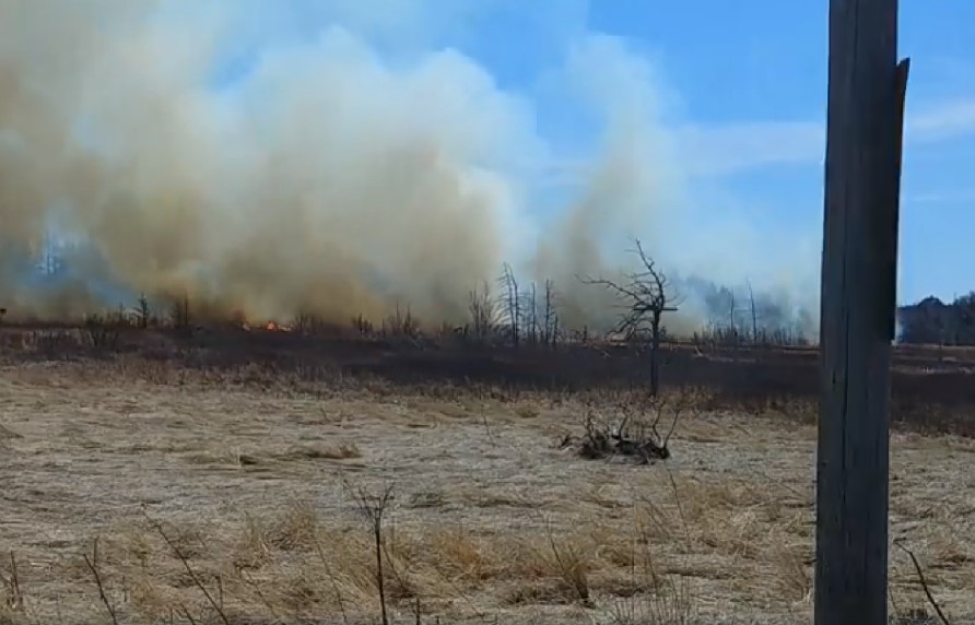 Large Grass Fire Near Reserve St. In Glace Bay Today | goCapeBreton.com