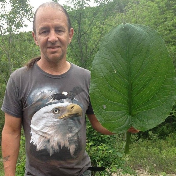 Peter Bisson Peter Bisson